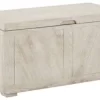 Ryker Signature Design Storage Trunk - Ashley Furniture A4000306