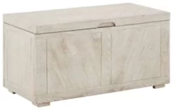 Ryker Signature Design Storage Trunk - Ashley Furniture A4000306