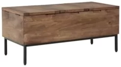 Signature Design Braddick Storage Trunk - Ashley Furniture A4000310