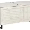 Coltport Signature Design Storage Trunk - Ashley Furniture A4000337