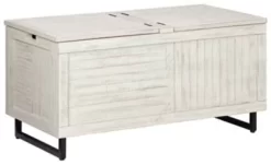 Coltport Signature Design Storage Trunk - Ashley Furniture A4000337