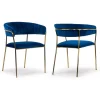 Set Of 2 Anya Blue Velvet Arm Chair With Golden Metal Legs - Glamour Home GHDC-1413