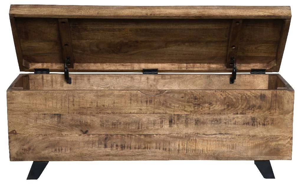 Axis 46" Storage Trunk - Kosas Home PL10216 3 Axis 46" Storage Trunk - Kosas Home PL10216 - Image 3