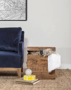 Livingston 18" Square Trunk - Kosas Home PL10296 -Home Haven Deals 226 pl10296 3