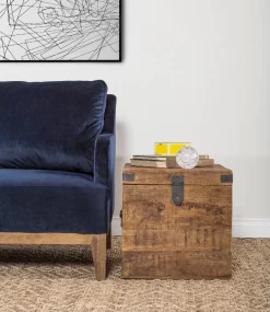 Livingston 18" Square Trunk - Kosas Home PL10296 -Home Haven Deals 226 pl10296 4