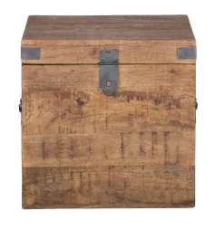 Livingston 18" Square Trunk - Kosas Home PL10296 -Home Haven Deals 226 pl10296 9