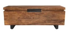 Zoe Storage Trunk In Honey Brown - Kosas Home PL14152 -Home Haven Deals 226 pl14152 1