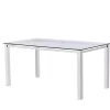 Ajay Modern Glass 63" Rectangular Dining Table - Best Master Furniture T02T