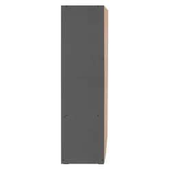 Sarah Double Sliding Door Armoire With Mirror In Dark Gray - Better Home Products W44-M-DGRY -Home Haven Deals 329 w44 m dgry 6