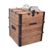 Storage Trunk - Progressive Furniture A169-69