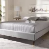 Baxton Studio Volden Glam & Luxe Charcoal Velvet Fabric Full Size Wood Platform Bed Frame W/ Gold-Tone Leg Tips- BBT6598A1-Dark Grey-Full