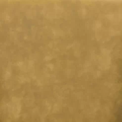 Loiret Dining Chair (Set Of 2) Yellow - Zuo Modern 101903 -Home Haven Deals 99 101903 6