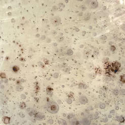 Pam Coffee Table - Zuo Modern 109317 -Home Haven Deals 99 109317 6