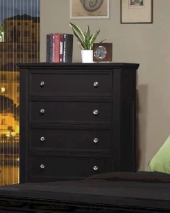 Sandy Beach Black Chest - Coaster 201325